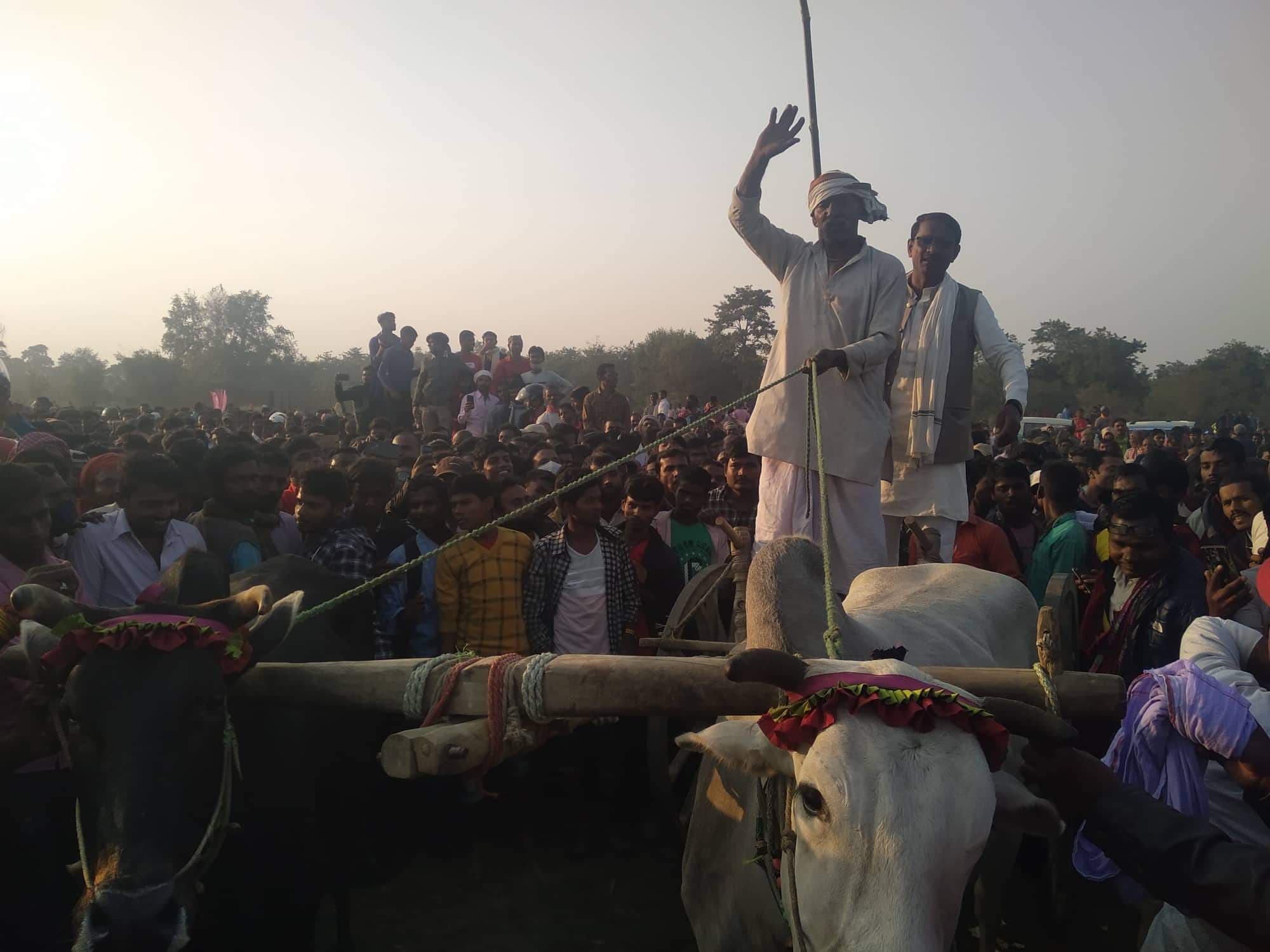 विवाह पञ्चमीको अवसरमा बलान नदीमा गोरु दौड प्रतियोगिता सम्पन्न