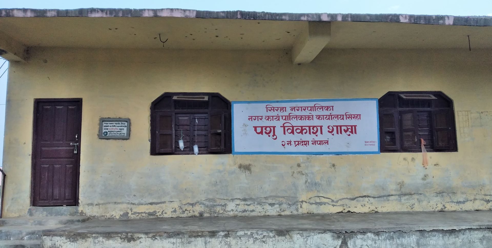 सिरहा पत्रकार महासंघको भवनमा खुल्यो पशु कार्यालय !
