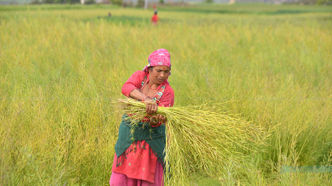 लकडाउनले नछोएको मेलापात