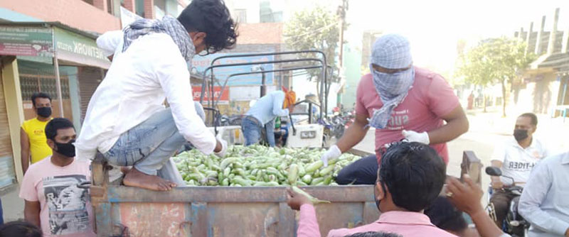 लहानका किसानले लकडाउनका बेला निःशुल्क बांडे १६ क्विनटल तरकारी