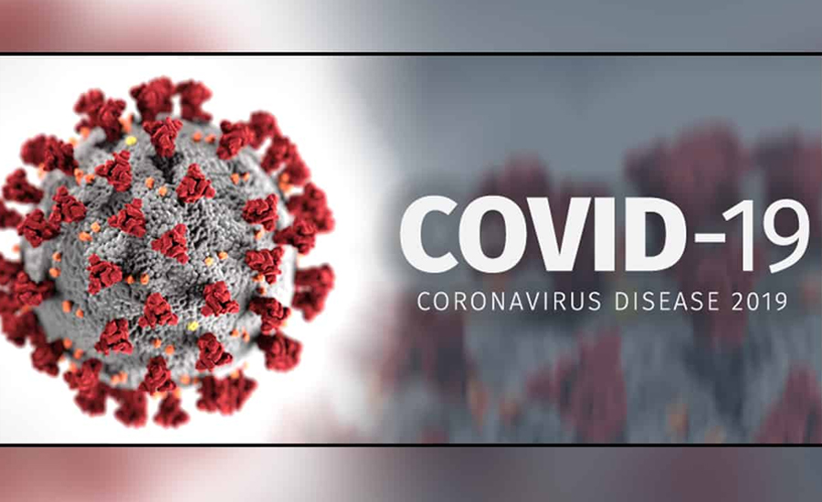 प्रदेश २ मा ६ सय ७३ को आरडीटी परीक्षण,२ को रिपोर्ट पोजेटिभ,६ सय ७१ को नेगेटिभ