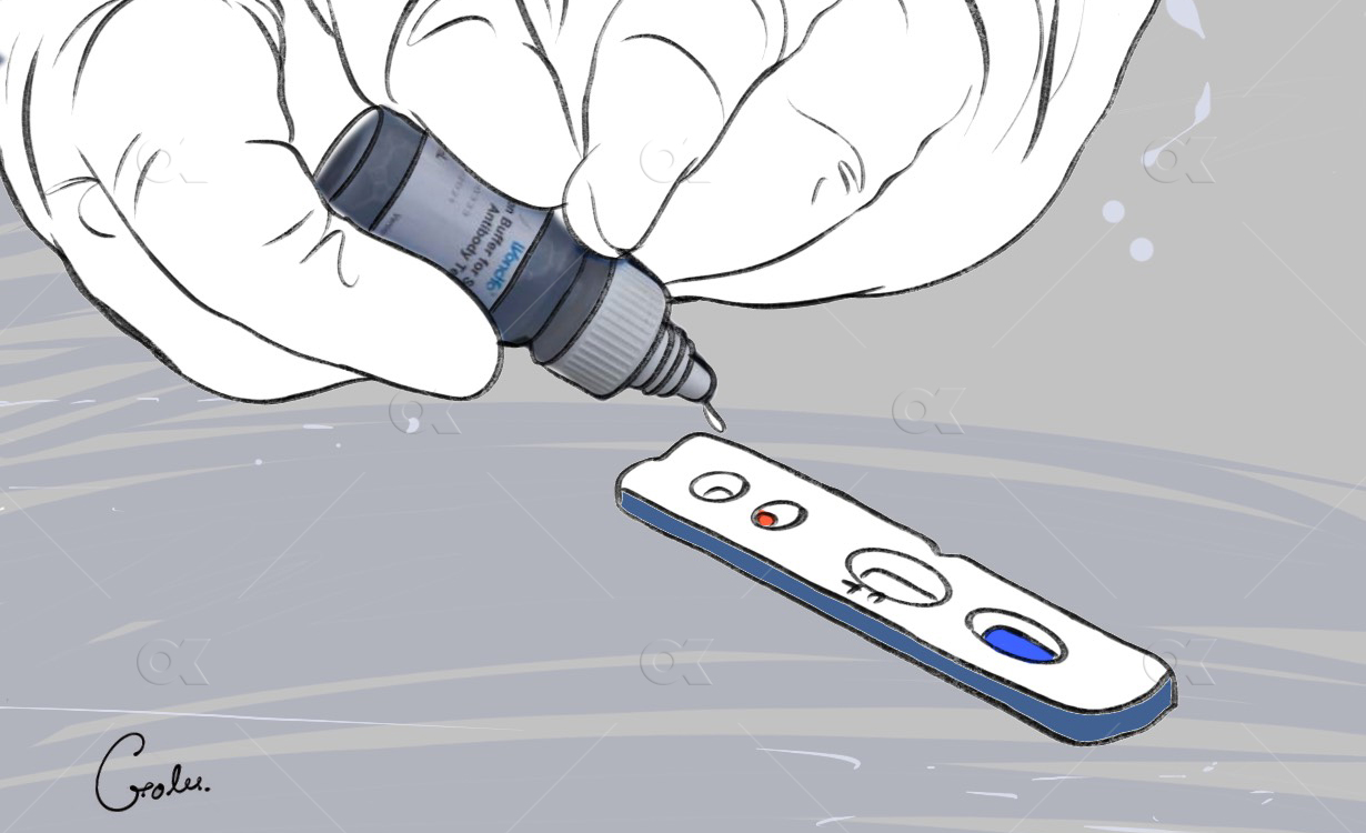 प्रदेश २ मा ४१९ को र्‍यापिड टेस्ट