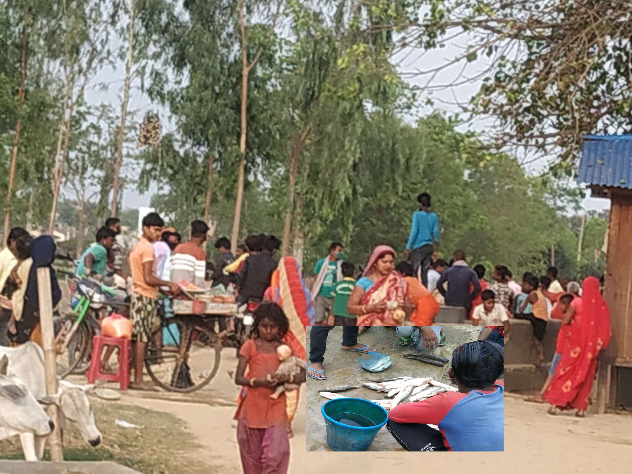 वडाध्यक्षकै घर अगाडी माछा बजार