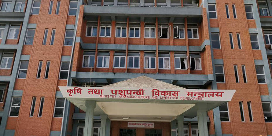 कृषि मन्त्रालयको आग्रह-जमिन बाँझो नराख्नुस्, कृषि पसल खोल्नुस्