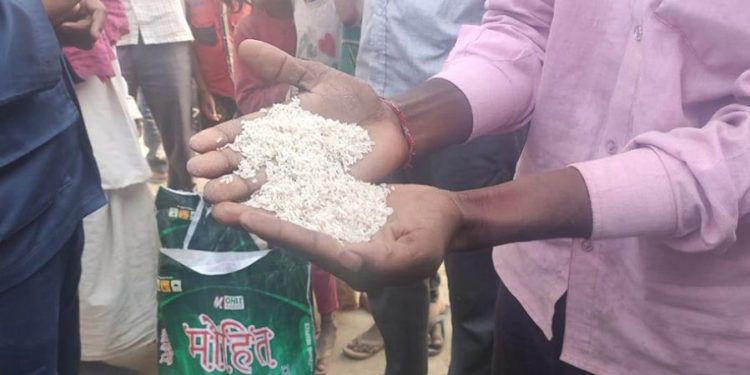 गुणस्तरहीन खाद्यान्न वितरण गरिएको भन्दै कोल्ड स्टोर्समा शिलबन्दी