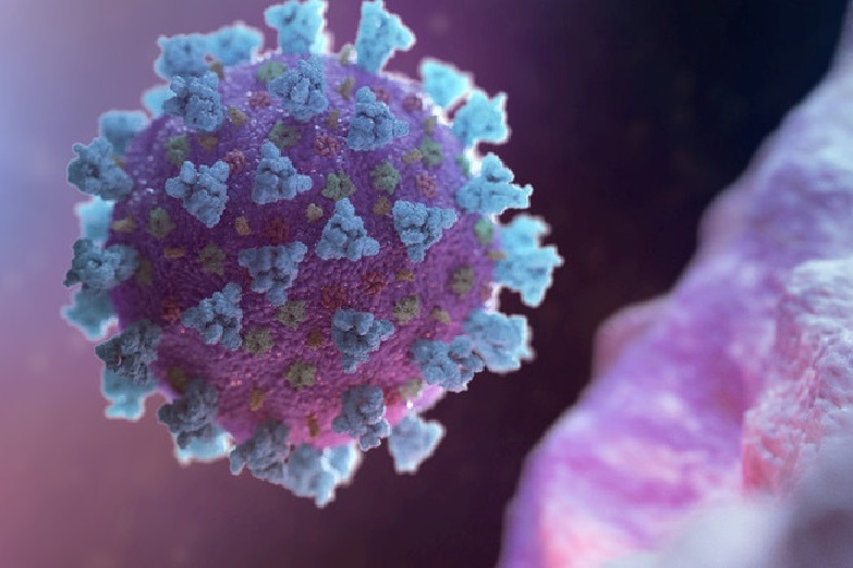 यस्तो छ अहिलेसम्म देखिएका महामारीको द‌ृश्य