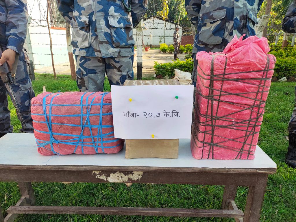 धनुषामा सशस्त्र प्रहरीले समात्यो २१ किलो गाँजा