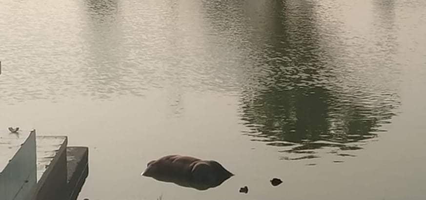 जनकपुरको धनुष सागर पोखरीमा भेटियो पुरुषको शव