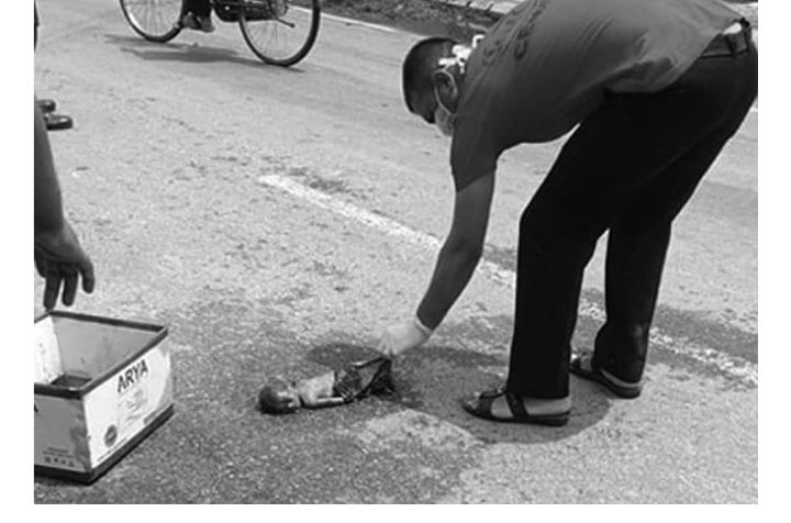 जनकपुरको सडकमा भेट्यो नवजात शिशुको शव, अनुसंधान सुरु