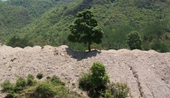 चुरे संरक्षणका लागि सरकारद्वारा १ अर्ब ५५ करोड बजेट विनियोजन