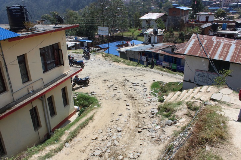 सामुदायिक वन फाँड्दै जताततै सडक