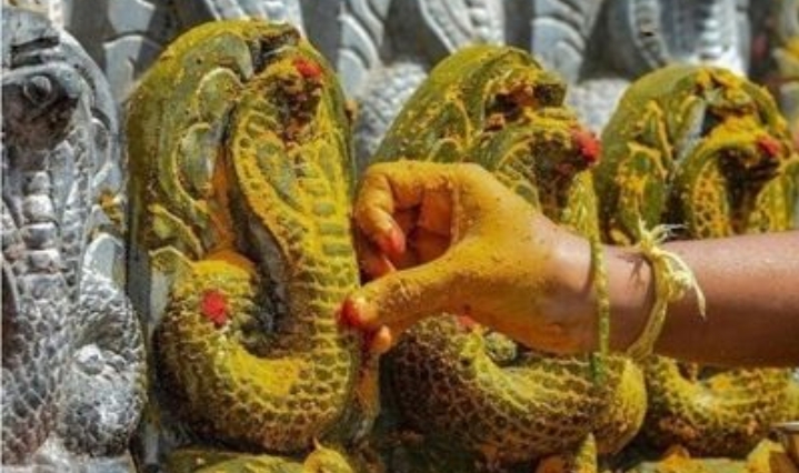आज नागपञ्चमी : सर्प, बिच्छी र चट्याङबाट बच्न घर-घरमा नाग पूजा