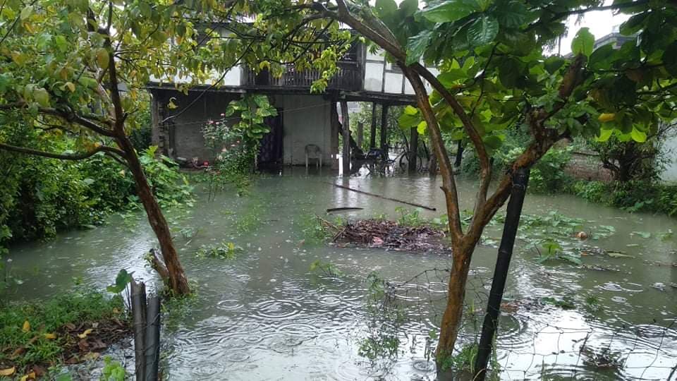 विराटनगरमा पनि भारी वर्षा, पानी घरआँगनमा पस्यो !