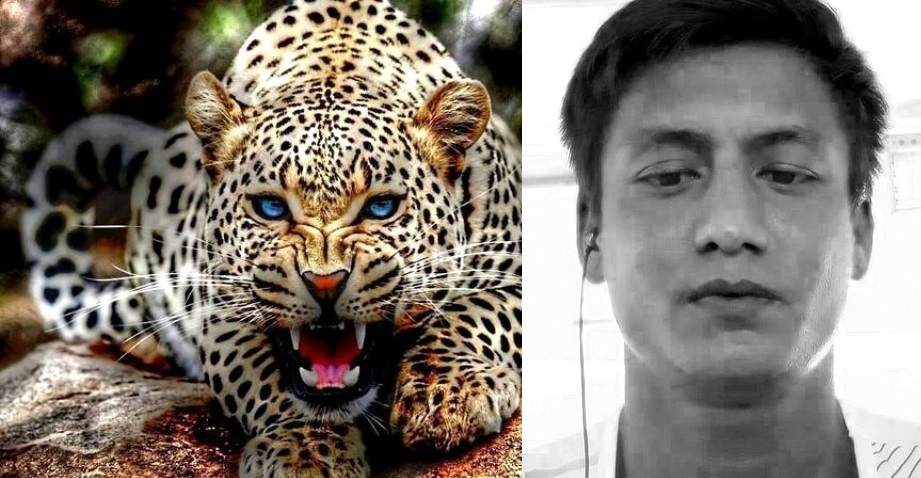 प्रदेश २ : चितुवाको आक्रमणबाट एक जनाको मृत्यु, दुई जना घाईते