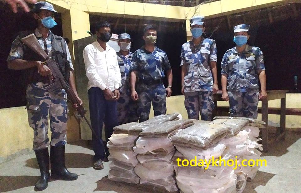 ट्याक्टरमै गाँजा तस्करी, भारत लैजाँदै गर्दा १२७ प्याकेट गाँजासहित मेहता पक्राउ