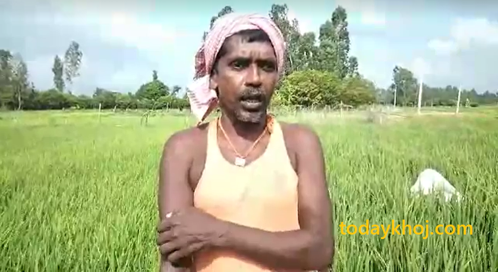 मल नपाउँदा समस्यामा मधेसका किसान, बजारमा खुलेयाम कालोबजारी