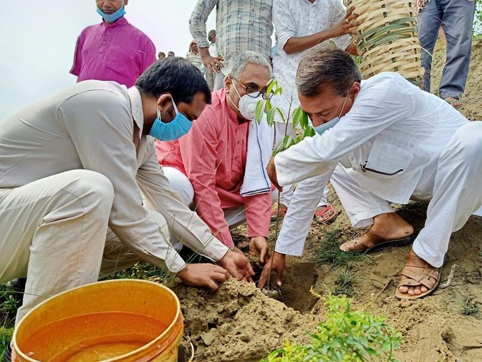 कमला नगरपालिकामा साँसद अरगरियाले रोपे बृक्ष
