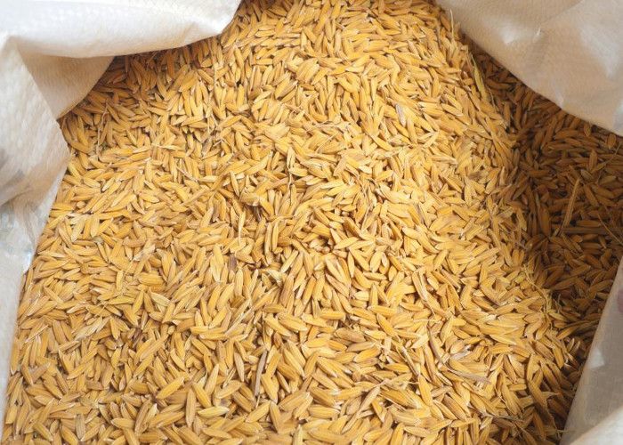 बासमती धानबारे नेपाली दाबी युरोपेली सङ्घमा पठाइने