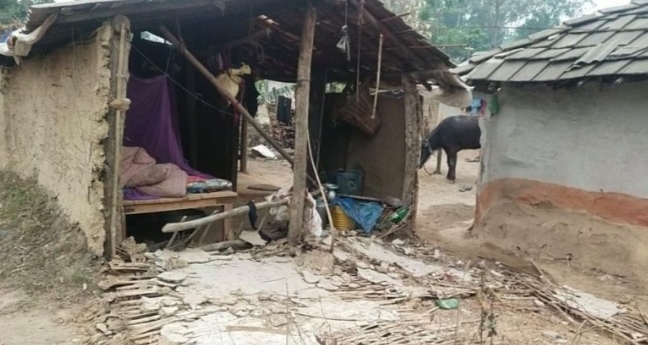 धनुषामा हात्तीले एक बृद्धको ज्यान लियो