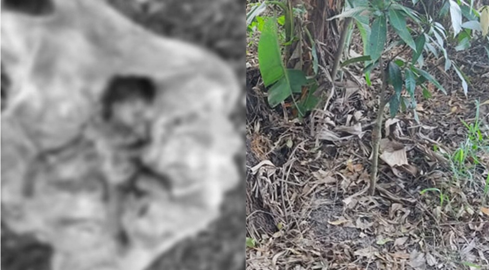 महोत्तरीमा हराएका बालक बगैंचामा मृ‌त भेटिए, कान्छी आमा र बुवा फरार