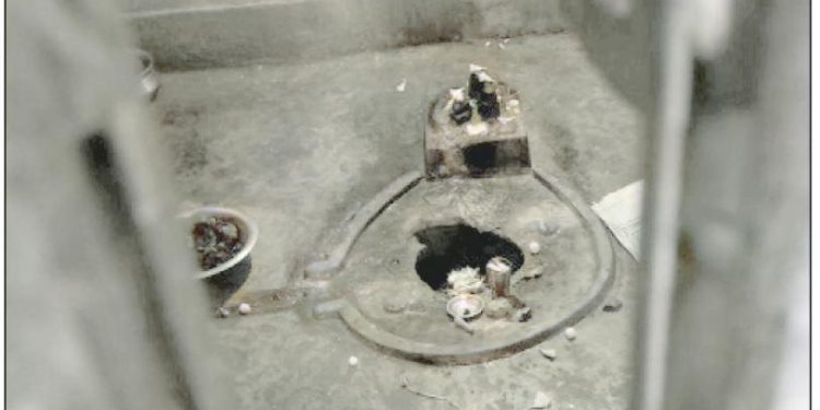 प्रदेश २ : पूजा गरिरहेकै बेला शिवलिंग जमिनमुनि भासिए, स्थानीय चकित