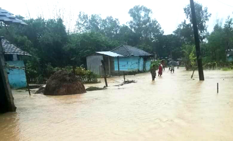 सिरहामा बाढीले दुई दर्जन घर डुब्यो