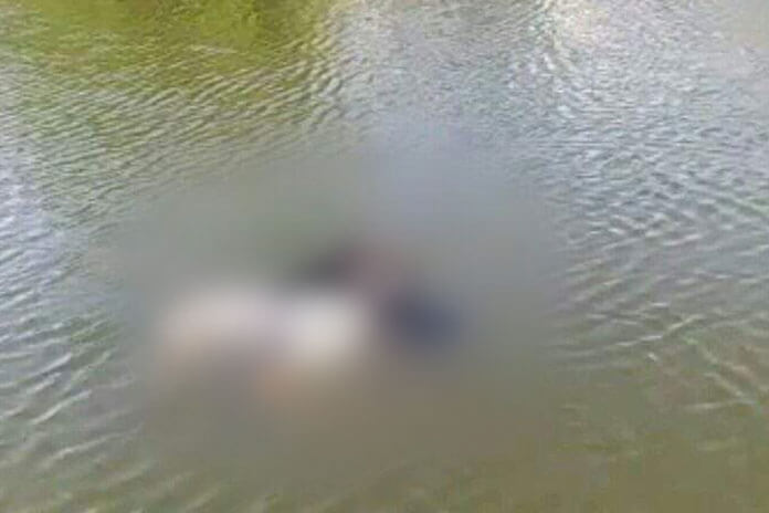 नदीमा बगिरहेको अवस्थामा ५० शव भेटियो