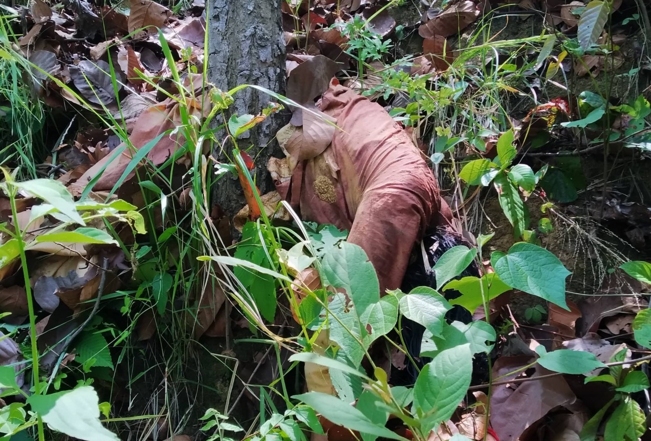 बलात्कार गरी मारेर किशोरीलाई जंगलमा फाल्ने तीन जना पक्राउ