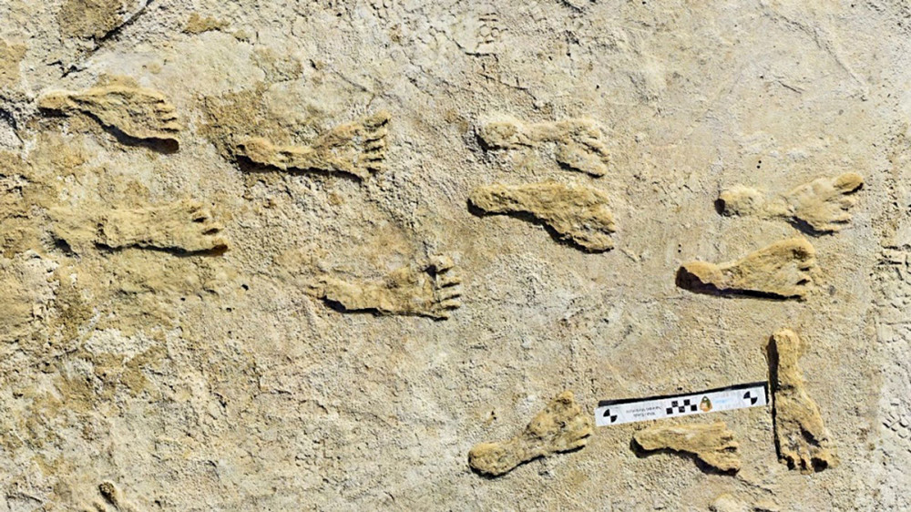 उत्तर अमेरिकामा २३ हजार वर्षअघिका मानव पदचाप भेटिए