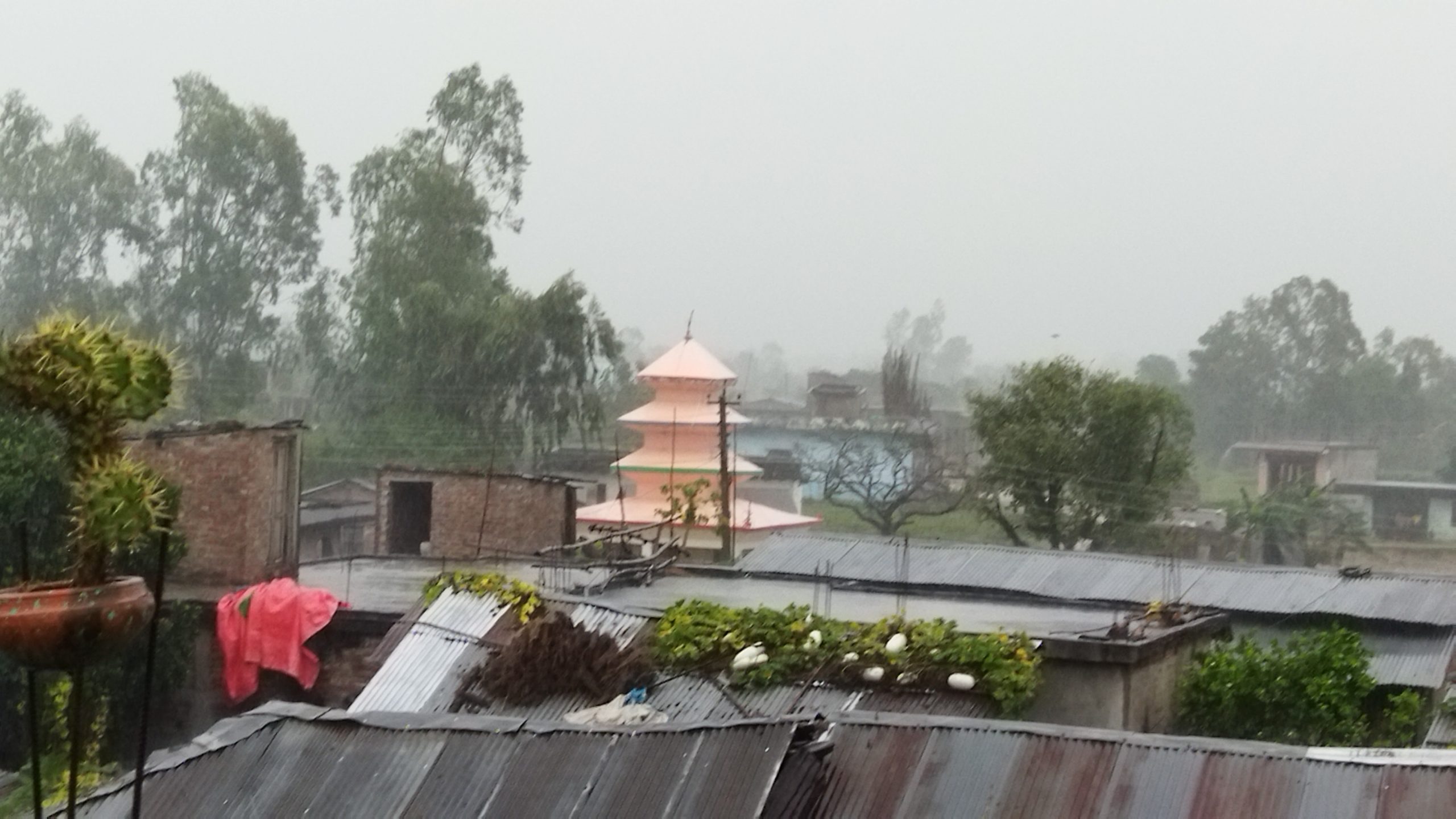 प्रदेश २ का जिल्लाहरुमा भारी वर्षा जारी, जनजीवन प्रभावित