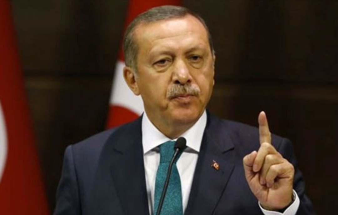 अमेरिकासहित १० राजदूतलाई देश निकाला गर्ने टर्कीका राष्ट्रपतिको घोषणा
