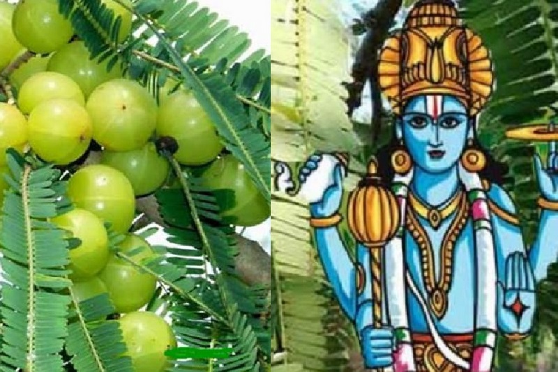 जनकपुरसहित मधेसमा आज अक्षय नवमी मनाइँदै