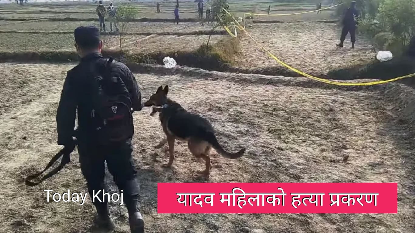 कुकुरको सहयोगमा अनुसन्धान सुरु