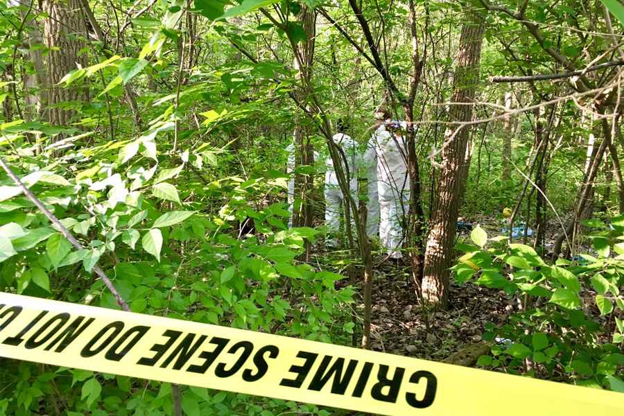 दासको ह’त्याबारे सनसनीपूर्ण अडियो सार्वजनिक