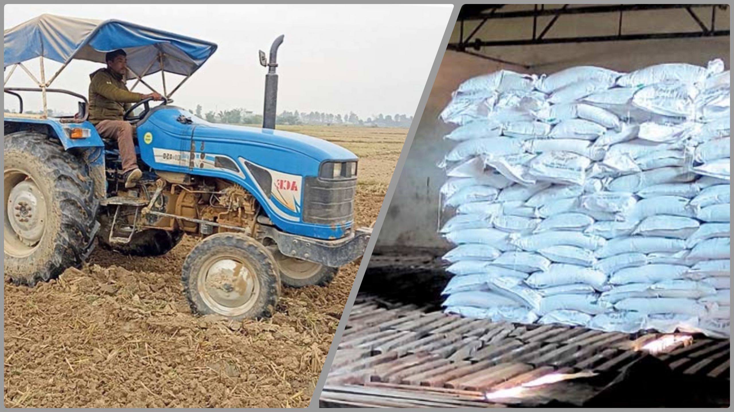 संकटमा किसान : गहुँ छर्ने बेला भयो, मल आएन