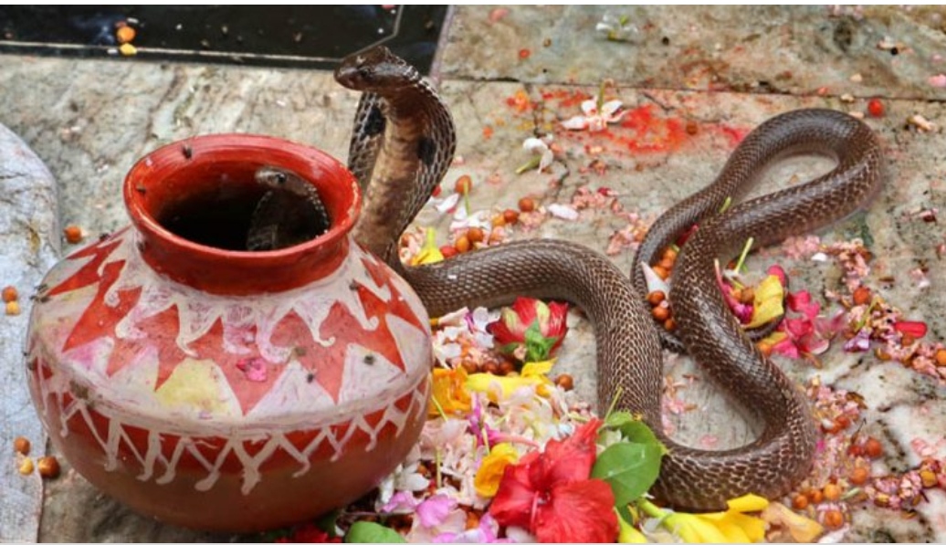 आज २०७८ पुस १८ गते आइतबार, हेर्नुस् राशिफल