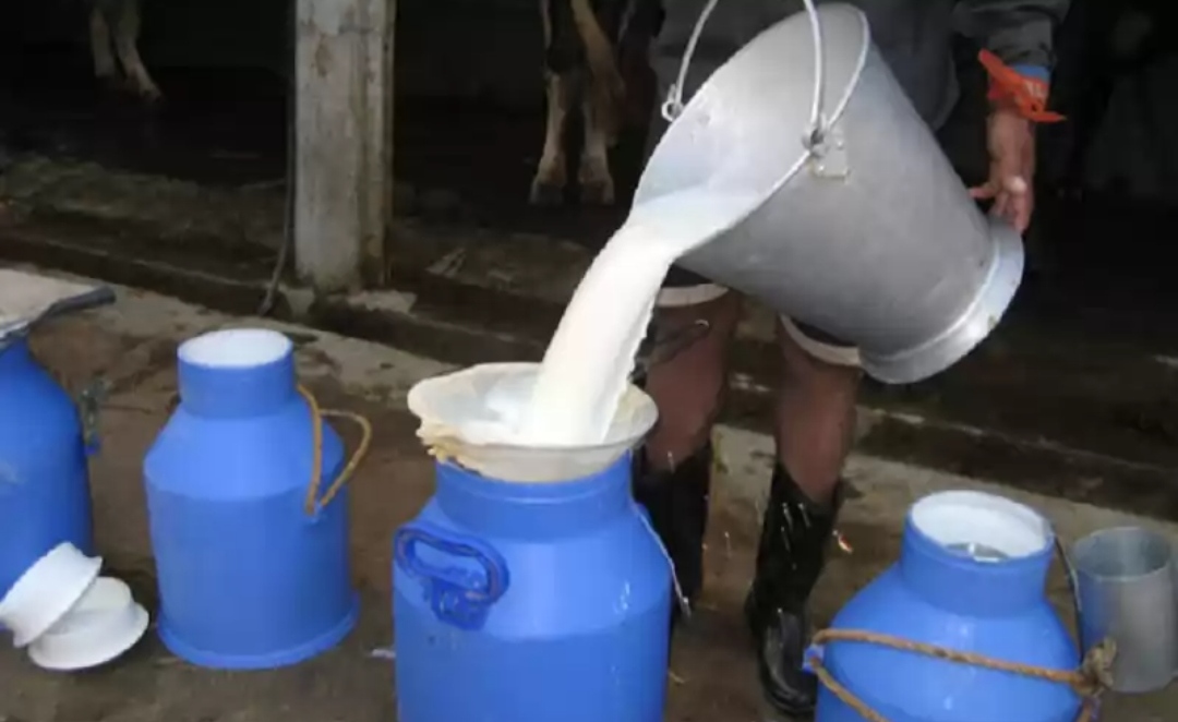 दूधको मूल्य बढाउन चाहेन सरकार, आन्दोलन गर्ने चेतावनी