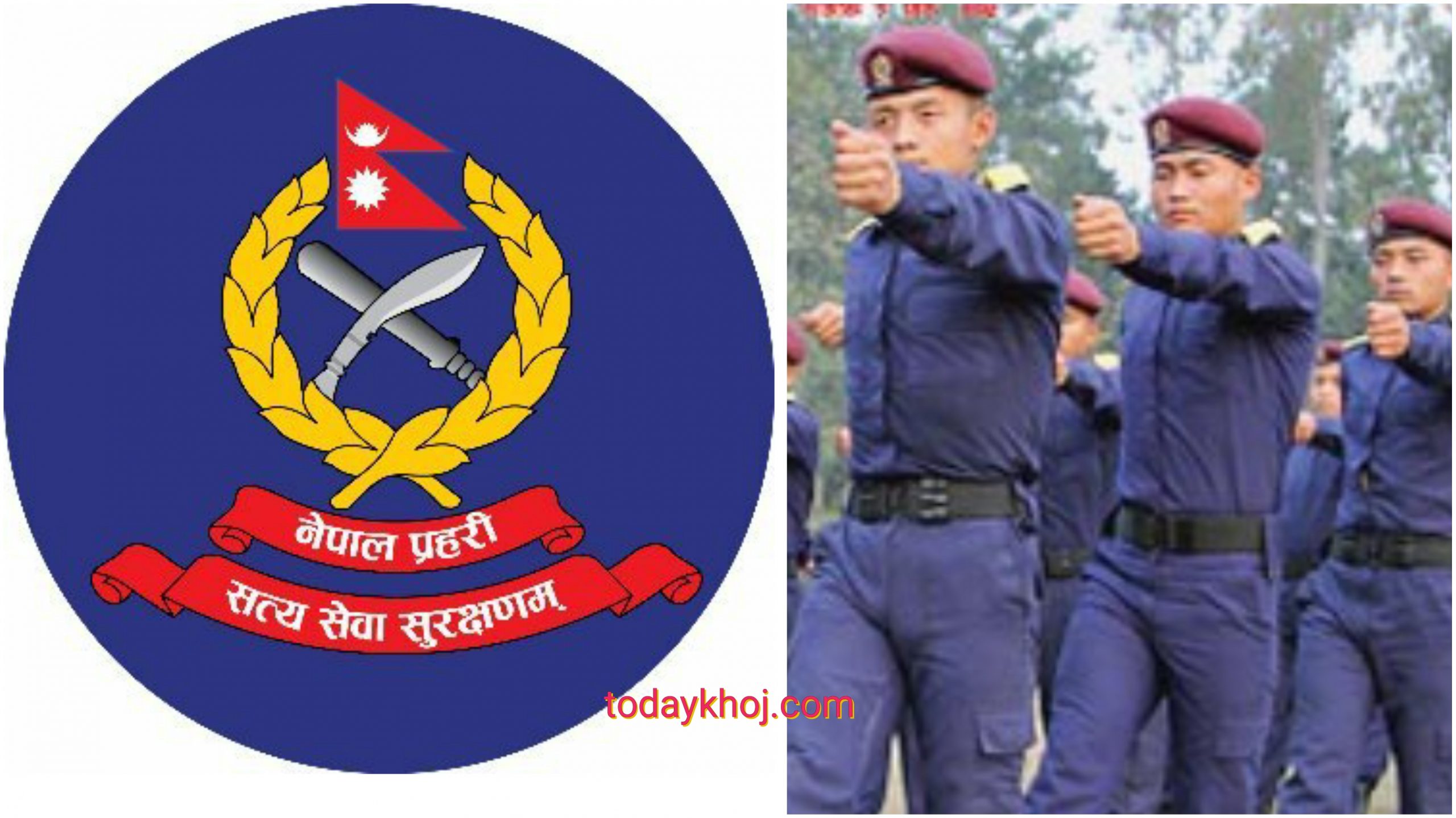 नेपाल प्रहरी : इन्सपेक्टरभन्दा तल तीन दर्जा थपिए