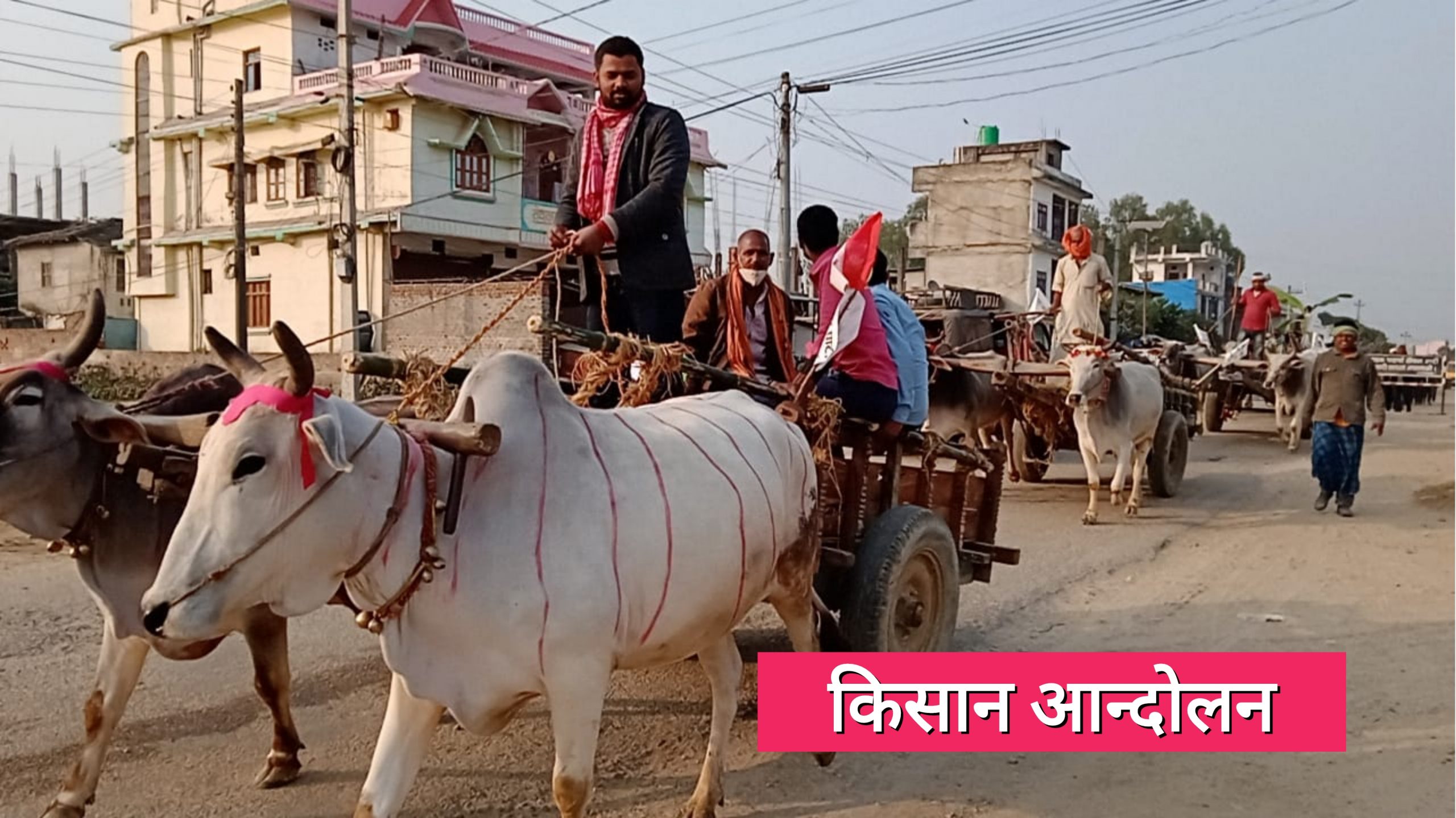 सिरहा सहितका जिल्लामा किसानहरुले निकाले गोरुगाडा जुलुस