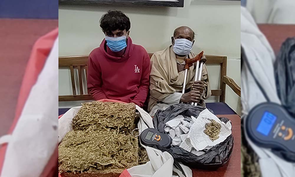 महोत्तरीमा गाँजा बेचबिखनमा संलग्न हजुरबा र नाति पक्राउ