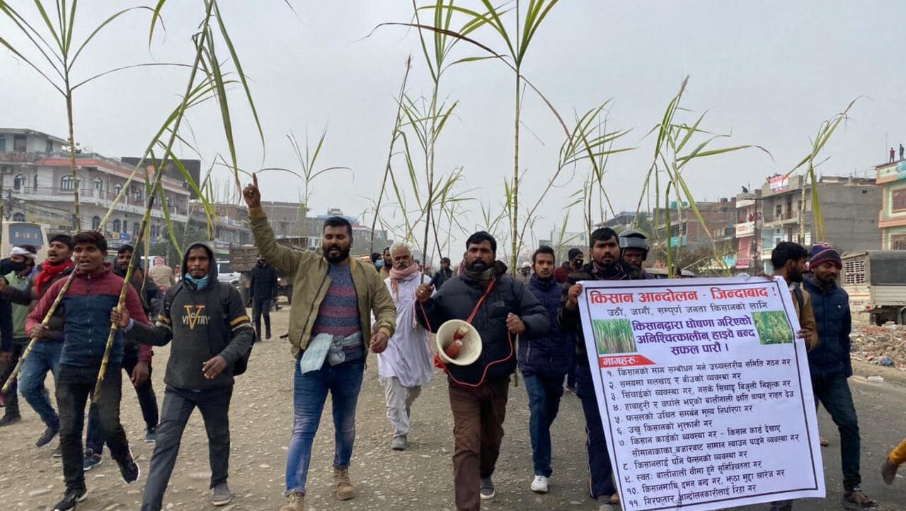 किसान आन्दोलन : जनमतका कार्यकर्ता र किसान आज उखु जुलुस निकाल्दै