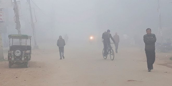 मधेसलाई कुहिरोले ढाक्यो, चिसोले जनजीवन प्रभावित