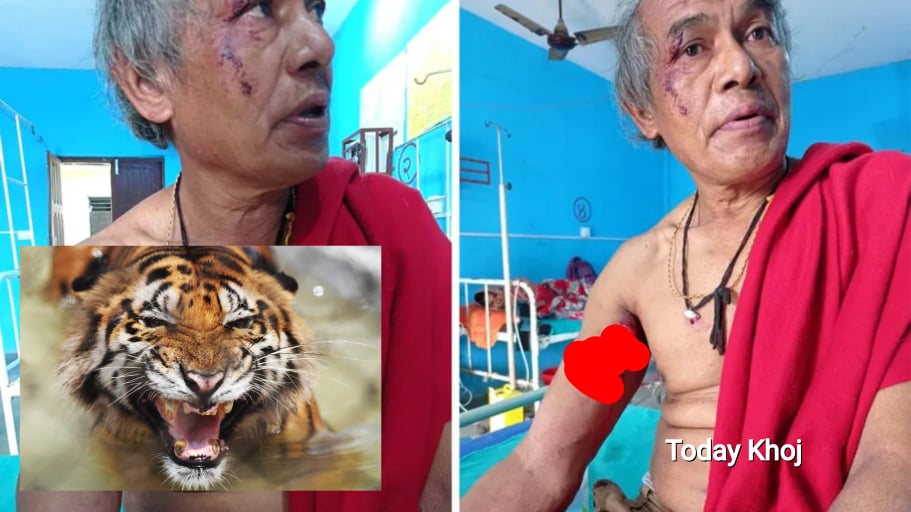 मधेसका यी गोठालो : जो वनमा बाघसँग लडे, बाँचेर घर फर्किए