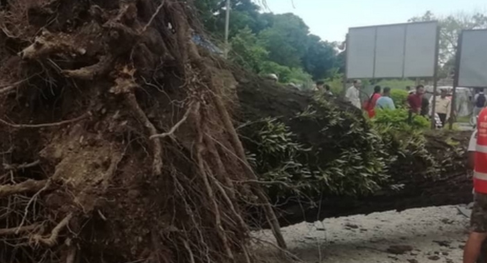 हावाहुरीले मधेस प्रदेशमा दुई विद्यार्थी र एक महिलाको मृत्यू