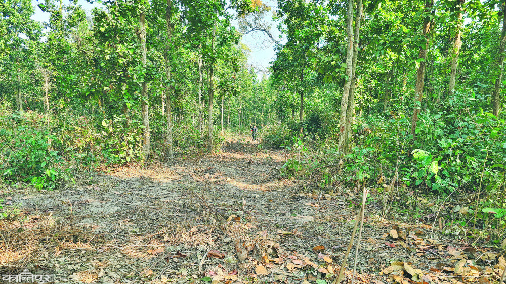 मधेस : रूख नकाट्दा रेलमार्ग निर्माण प्रभावित