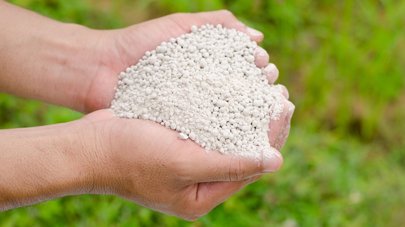 नेपालमा रासायिनक मल कारखाना खोल्न तीन विदेशी कम्पनीको प्रस्ताव