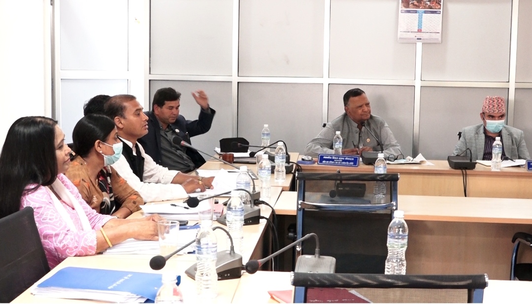 पेट्रोलियम पदार्थको मूल्य नियन्त्रण गर्न सरकारलाई निर्देशन