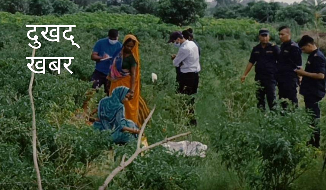 लहानमा खेतमै मृत भेटिइन् ५५ वर्षीया महिला