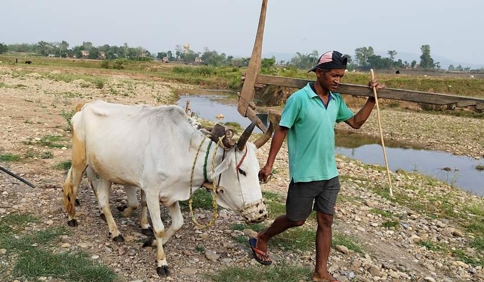 भारतीयको दादागिरीमा ब्रेक ! लालपुर्जा भएका नेपालीले जमिन जोत्न पाउने