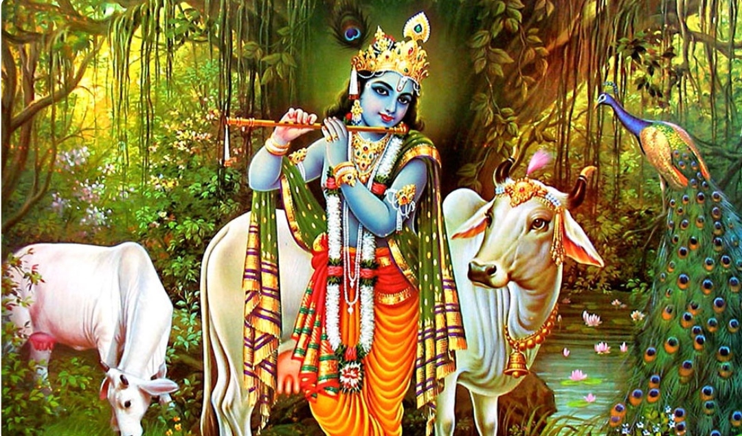 आज बुधबार : कृष्ण अवतारको पूजा गर्नुहोस्, चाहेको फल पाइन्छ